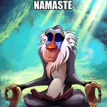 Namaste Meme 2