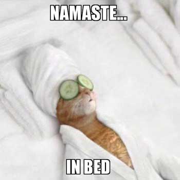 Namaste Meme 3